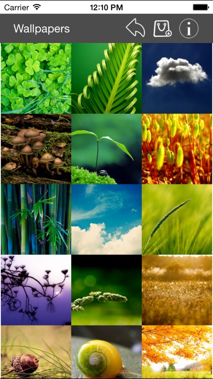 Wallpaper Collection Nature Edition