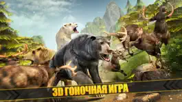 Game screenshot Bear Simulator 2016 . Wild Bears Simulation Games For Kids Free mod apk