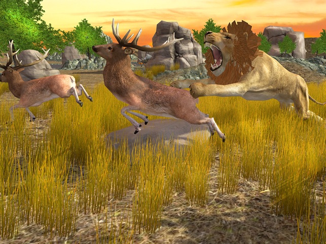 Lion Simulator Animal Survival Play As A Wild Lion In The Jungle On The App Store - wild savannah roblox controls on phone