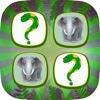 Wild Animals Memory - Matching Games For Kids