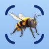 Insect Identifier: BugCam AI