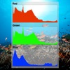 Histograms Explained