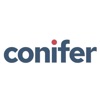 Conifer