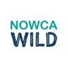 NOWCA Wild