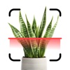 Plant Identifier App.