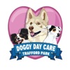 Doggy Daycare Trafford Park