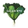 Salad Box