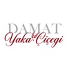 Damat Yaka Çiçeği