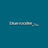 Blue Rooster