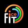 ICE fit