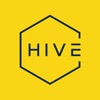 The Hive Hostels