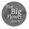 The Big Flower Shop