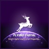 FlyingChital