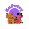 GoPetsy-Pet Grooming & Vet App