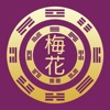 Plum Blossom Lite