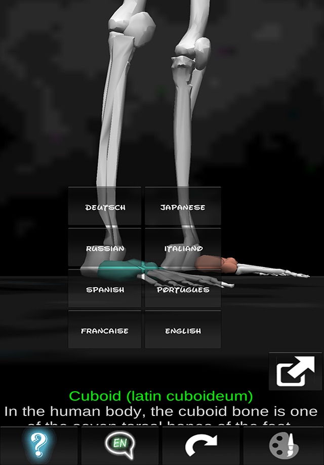 Bones 3D (Anatomy) screenshot 2