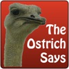 The Ostrich Says