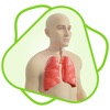 CloudLabs Respiratory system