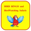 BirdBingo&BirdWatching Safaris