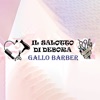 ILSALOTTODIDEBORA GALLOBARBER