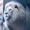 White Lion Wallpapers