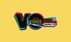 Voice Over TV