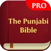 The Punjabi Bible Pro