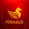 Pegasus Trading Ltd