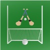 Gaelic Pitches