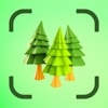 Tree Identifier AI: TreeIQ