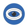 Silver Eye Hub