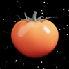 crunchy tomatoes menu scanner