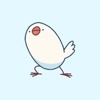 Java Sparrow Animated