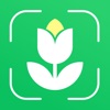 Plant Disease Identifier Pro