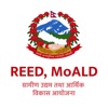 REED MIS