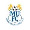 Mountmellick United FC