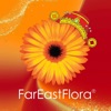 Far East Flora