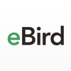 eBird