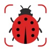 Insect Identifier AI Scanner