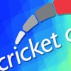 Cricket Clinic