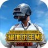 PUBG MOBILE：絕地求生M