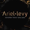 Ariel levy