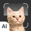 Cat Identifier: AI Scanner