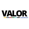 Valor Randoncorp