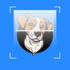 Dog Identification-DogScanner