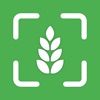 AI Gluten-Free Checker