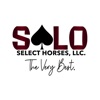 Select Online Horse Sales