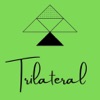 Trilateral Puzzler