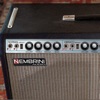 Double Reverb Guitar Amplifier