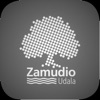 Zamudio Stores